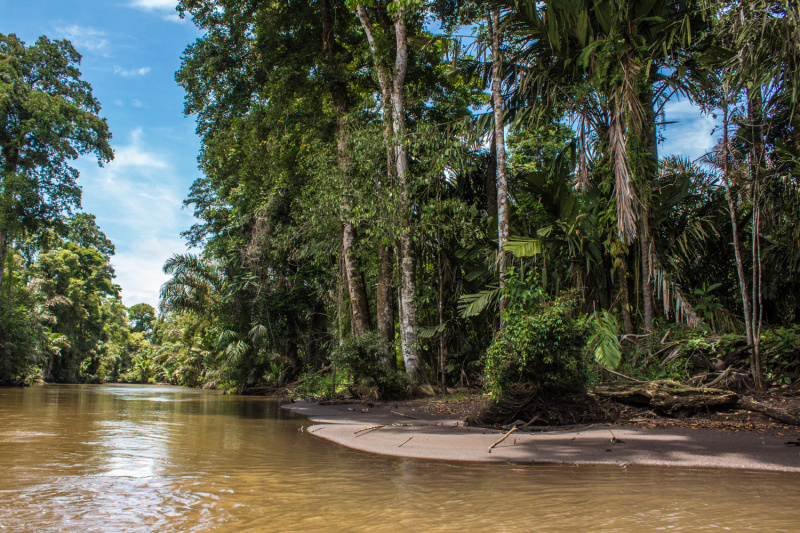 Day 2. Tortuguero Boat Ride