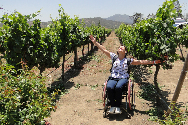 The winery tour