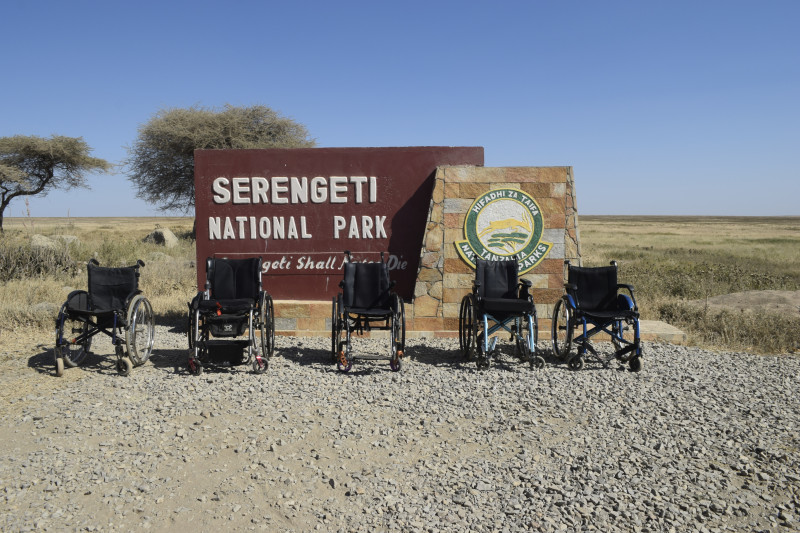 Tanzania safari experience: Tarangire & Serengeti National Parks.