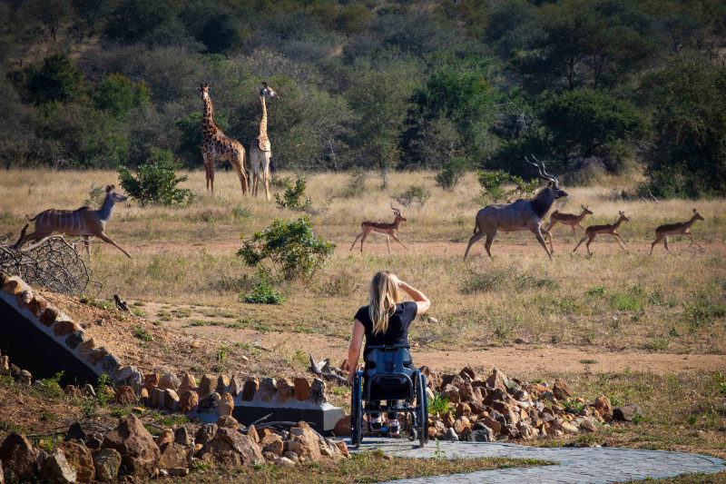 Luxury Voyage to South Africa: Accessible Game Drives & Helicopter Experience