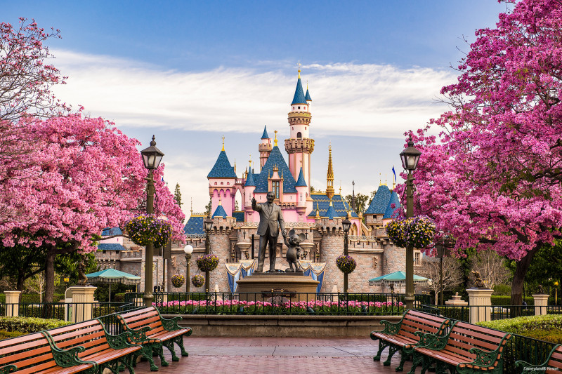 Disneyland Experience - 3N/4D (Hotel + tickets )