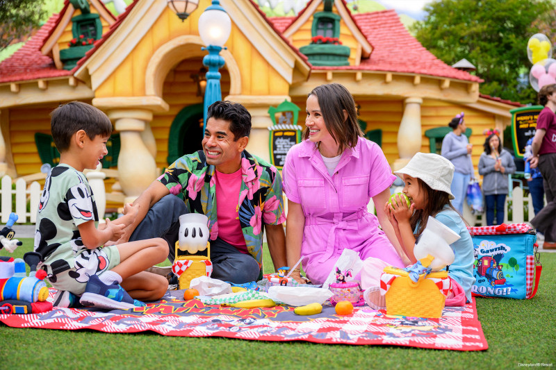 Disneyland experience - 3 nights / 4 days (hotel + tickets )
