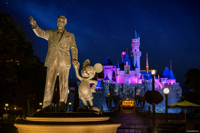 Disneyland experience - 3 nights / 4 days (hotel + tickets )