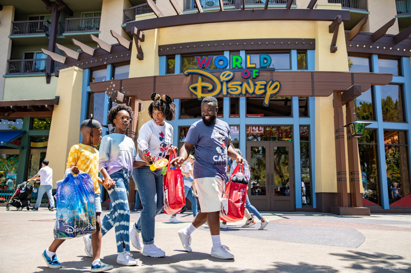 Standard Disney World experience - 3 nights /4 days (Disney hotel + tickets + park transfers)
