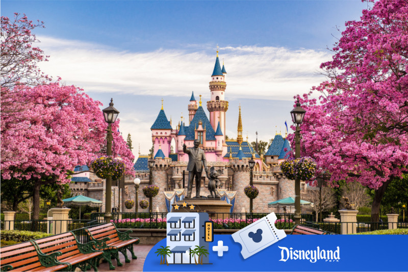 Disneyland experience - 3 nights / 4 days (hotel + tickets )