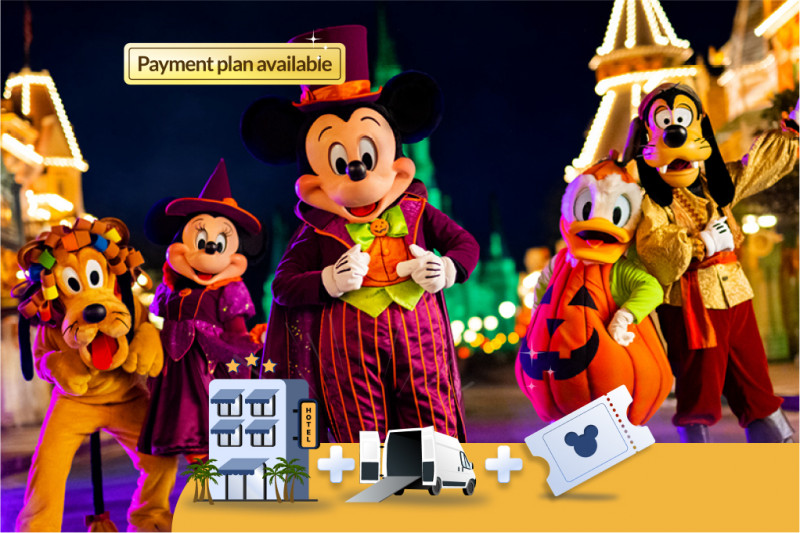 Standard Disney World experience - 3 nights /4 days (Disney hotel + tickets + park transfers)