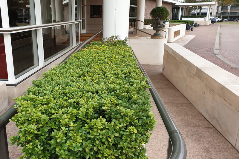 Hilton Amsterdam entrance with stairs, area for drop off, and ramp
