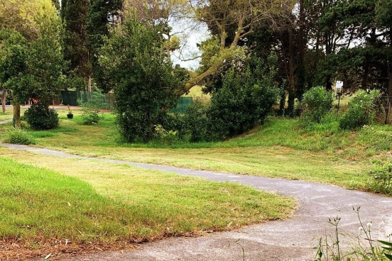 Property garden with a pathway