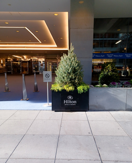 Step-free hotel entrance