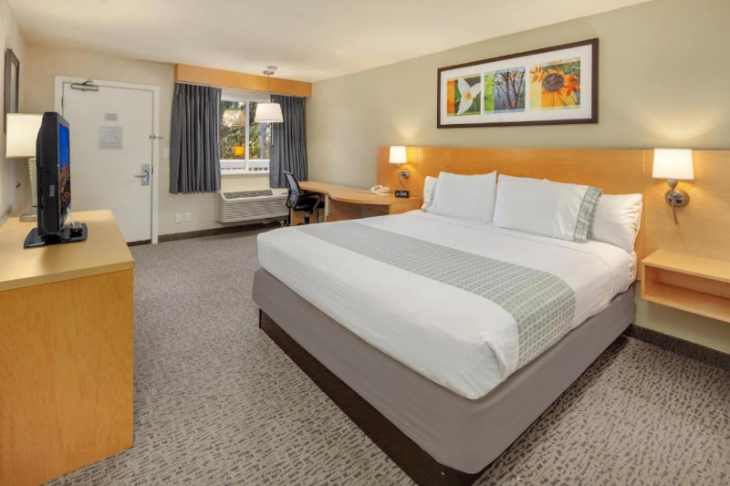 The Business Class King Room