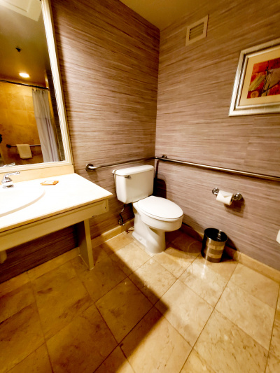 Spacious ensuite restroom with grab rails and accessible sink with lever faucets.