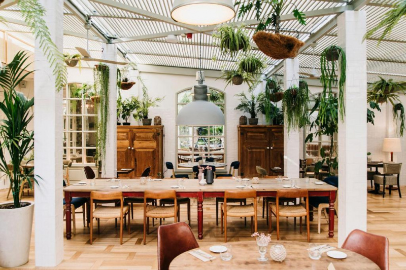 The spacious, light and airy hotel restaurant has assorted tables and movable chairs. There are ceiling fans and hanging plants.