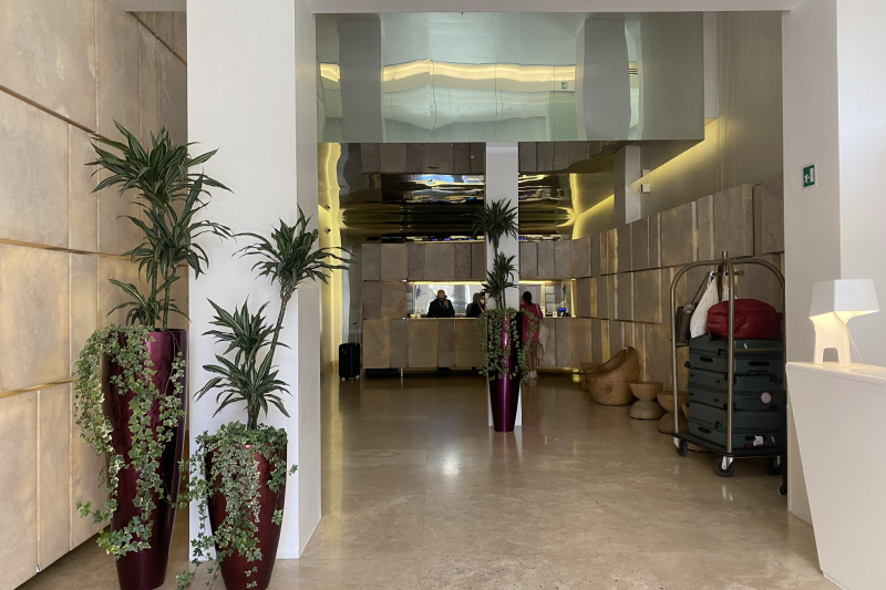 The spacious hotel lobby has several potted plants, some unusual wooden seating and a standard height reception desk. Luggage trolleys are available.