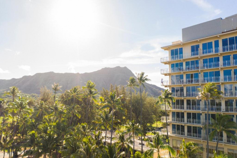 An exterior view of the hotel surrounded by palm trees. The hotel is seven stories high.