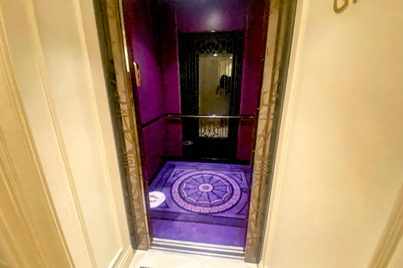 The elevator has handrails on the panels.