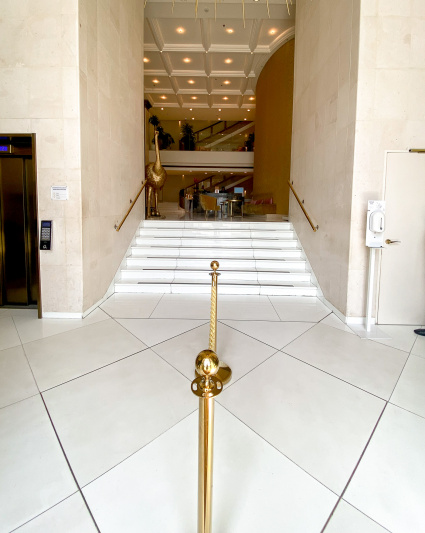 A flight of 7 steps with handrails leads from the lobby to the check-in desk past a large gold ostrich statue. There is an elevator beside the steps.