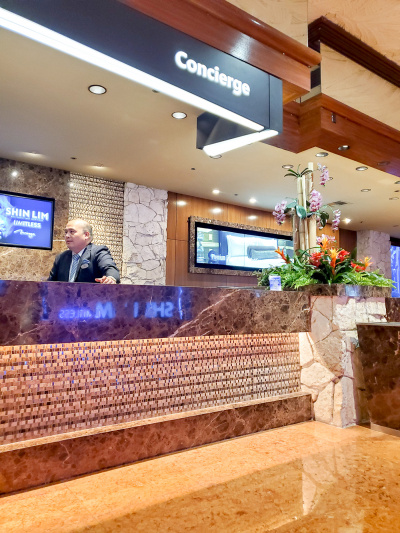 The spacious reception area has a high check-in desk with built-in footrest.