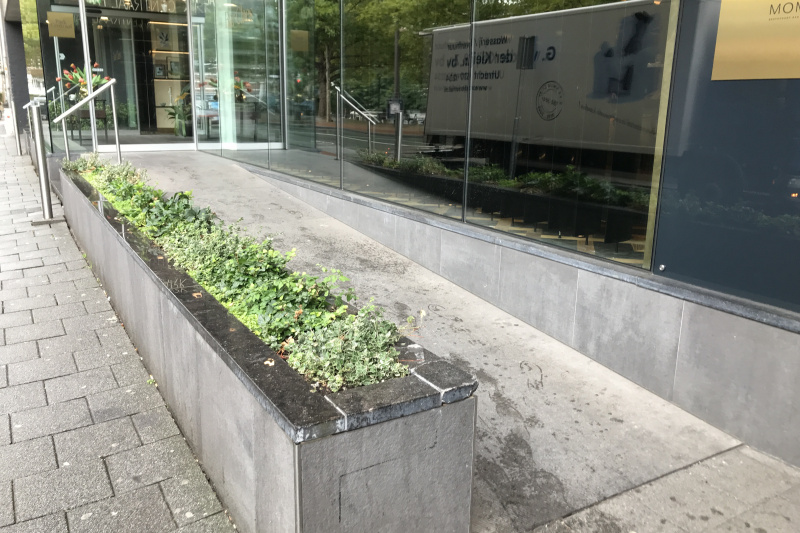 A long, shallow ramp, without handrails, leads from the sidewalk past steps with handrails to the hotel entrance.
