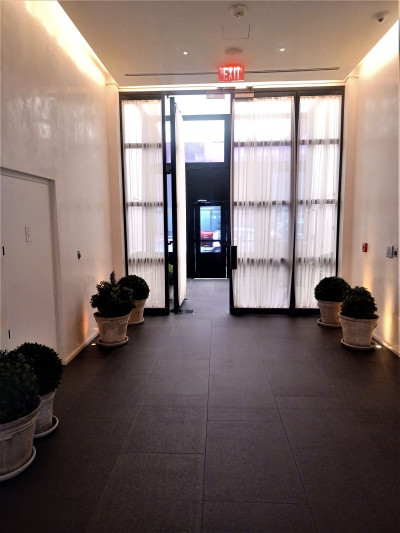 The spacious, step-free area is lined with plants. There is a tall glass door leading to the sidewalk.