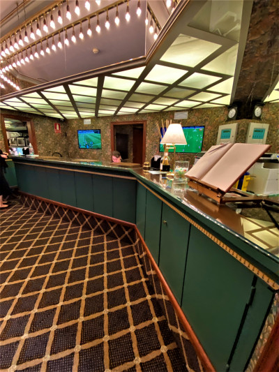 The spacious, carpeted reception area has a high check-in desk.