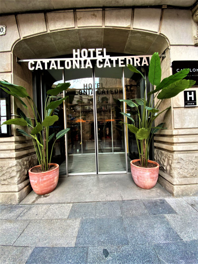 Catalonia Catedral