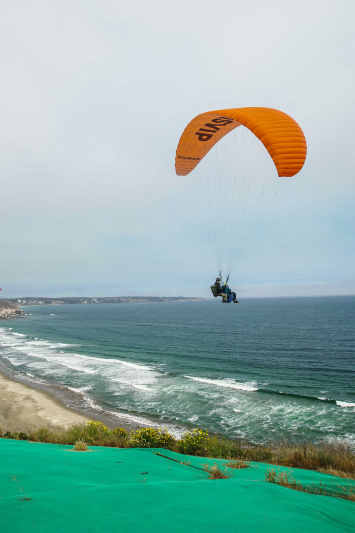 Paragliders explore the ocean and skies.