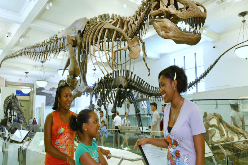 T-Rex exhibition