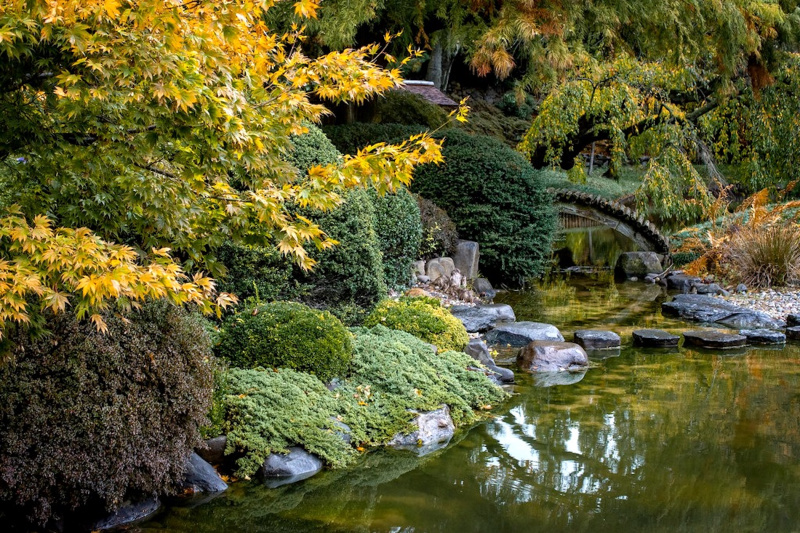 A pond at the Brooklyn Botanical Gardens