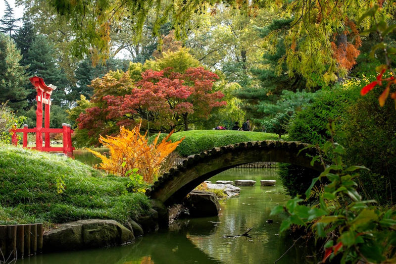 The Japanese garden