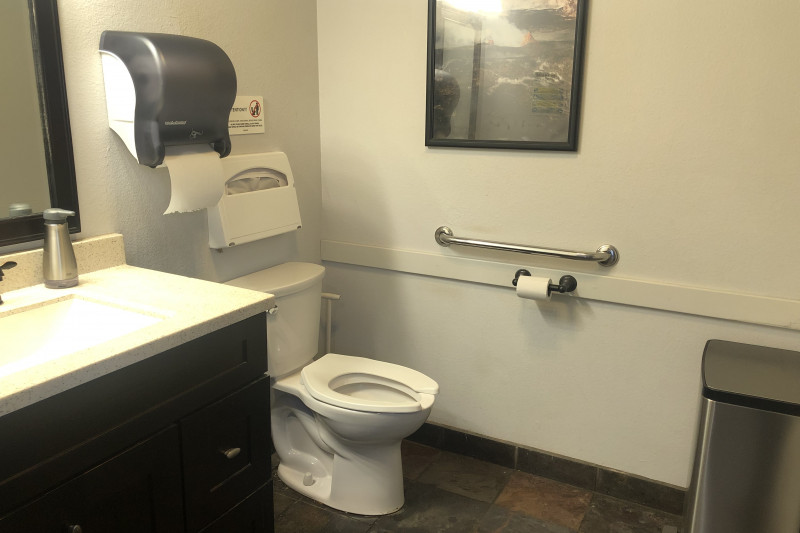 Toilet with grab bars