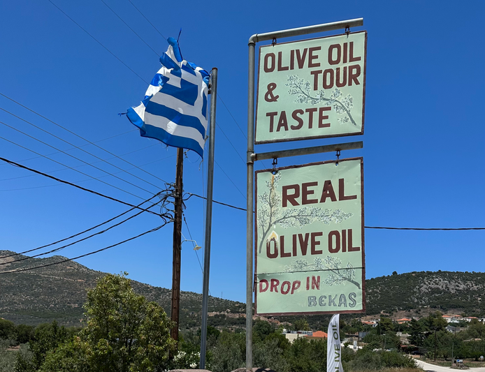 Olympia Unveiled: Ancient Games and Olive Oil Adventures - November 4, 2024 (B,D) thumbnail