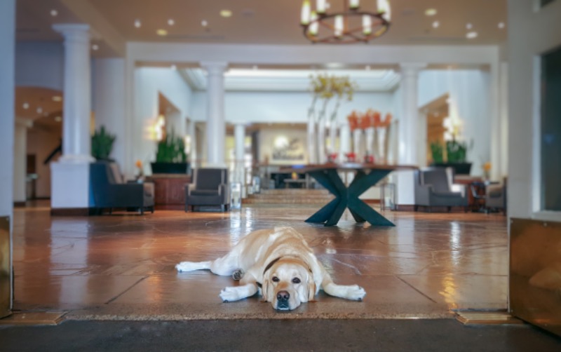Fairmont Scottsdale Princess