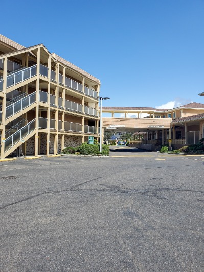 Driftwood Shores Resort And Conference Center