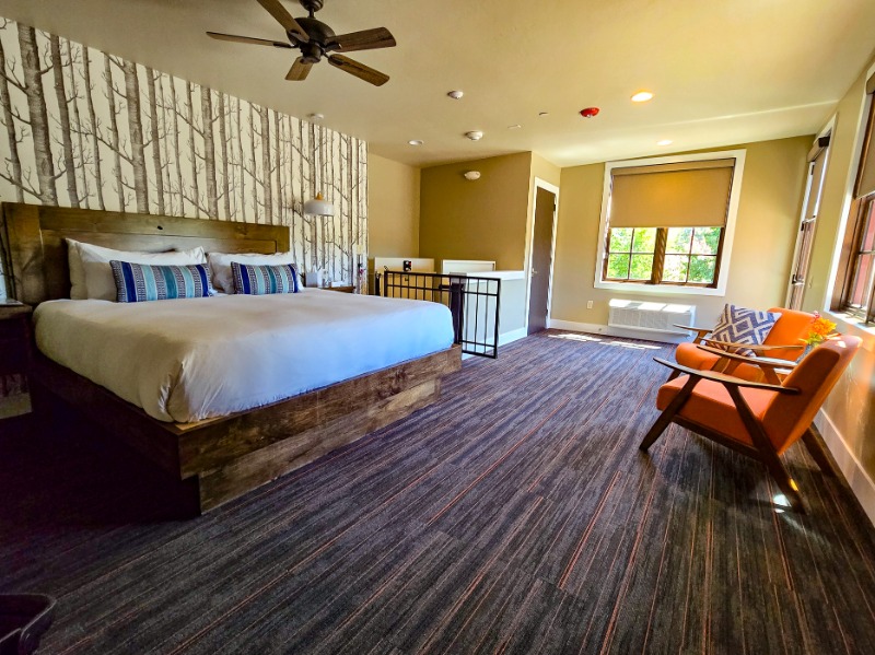 12. 2 Guests 1 Bedroom 1 Bed 1 Bathroom Accessible - Bedroom