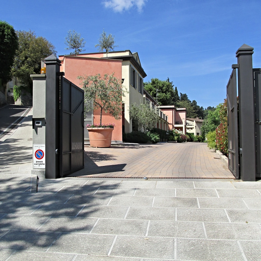 Primary image