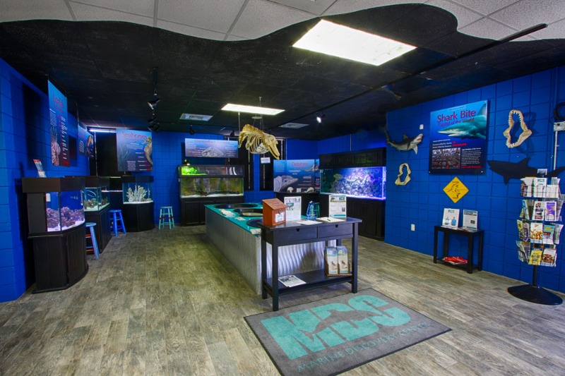 Marine Discovery Center