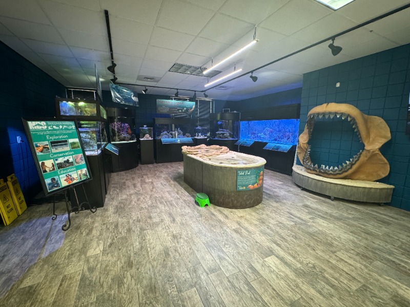 Marine Discovery Center