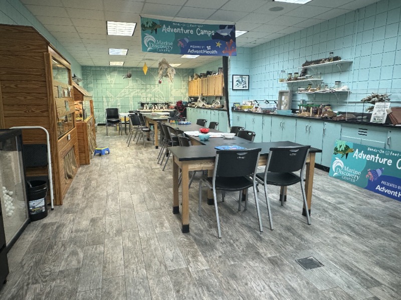 Marine Discovery Center