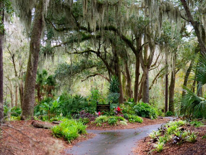 Jacksonville Arboretum & Botanical Gardens