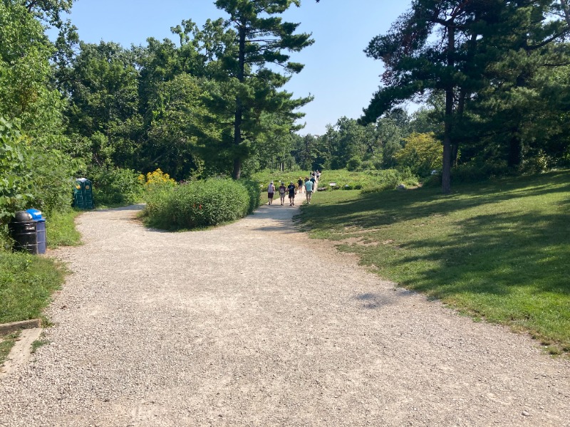 University of Michigan Nichols Arboretum