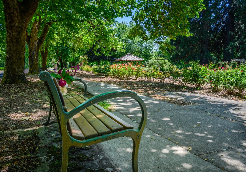 Avery Park & Natural Area