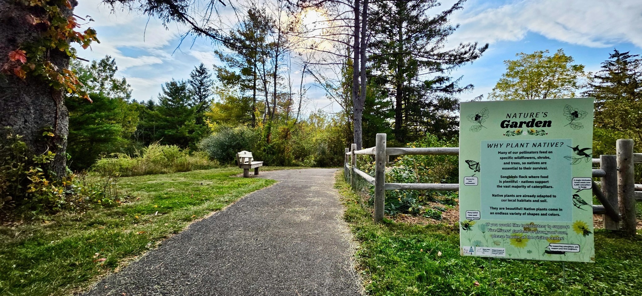 Pive Rivers Walkathon Five Rivers Environmental Education Center
