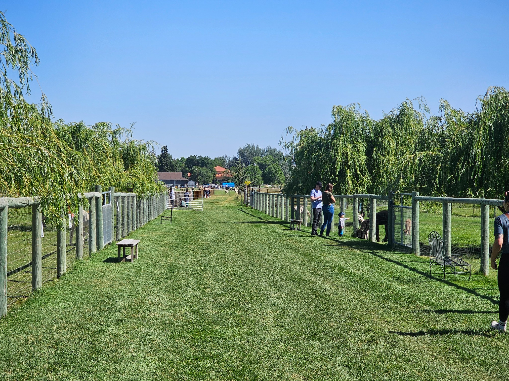 Crescent Moon Ranch