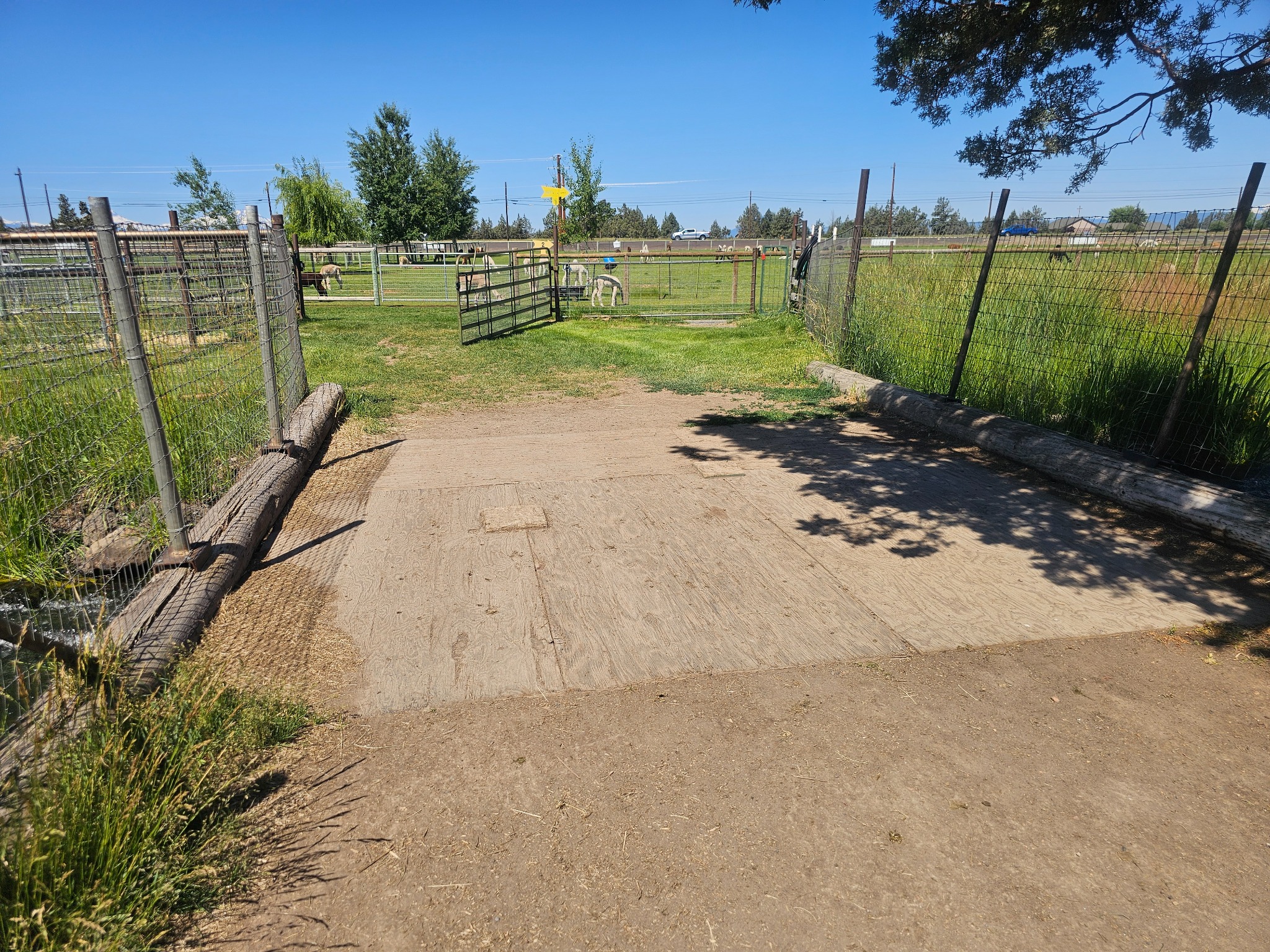 Crescent Moon Ranch